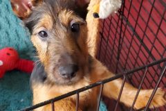 20220116_115038-scaled