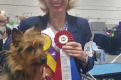 Augie-now a Grand! GCH Samabel Luv That Augie at Marblearch