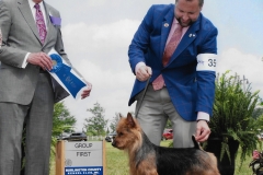 Bullet- Gets a Grouo 1 under judge Robert E. Hutton!