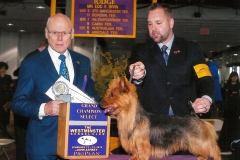 GCH Samabel Silver Bullet