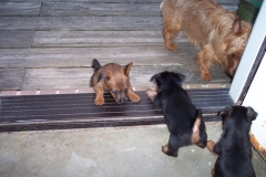 First steps!