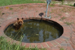 No fish here anymore.....
