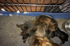 first-meal- that was Mom's bowl!